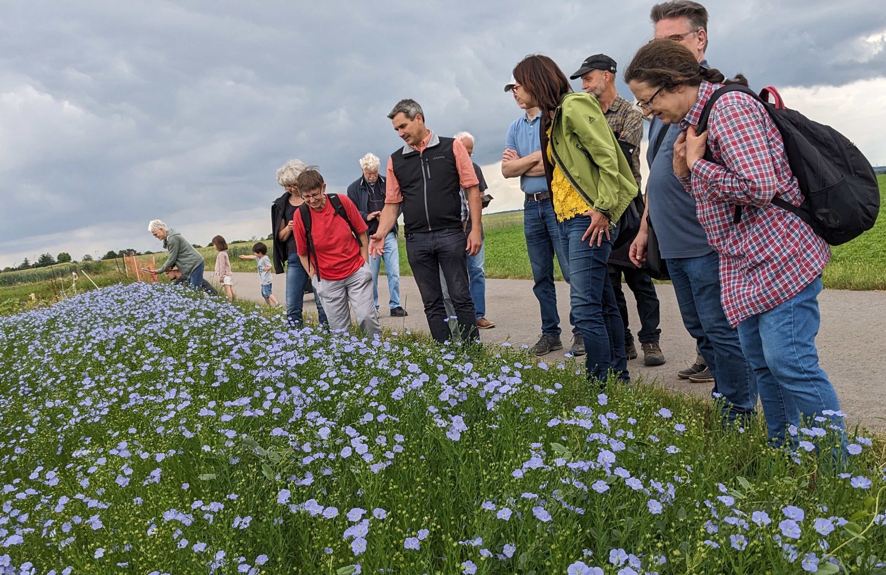 Blaue Blüten begeistern